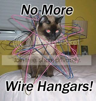 funny_cat_pictures_333.jpg