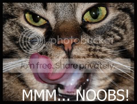 funny_cat_pictures_335.jpg