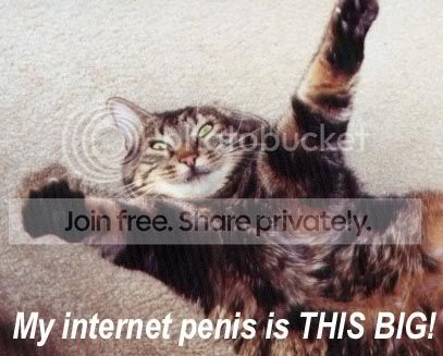 funny_cat_pictures_338.jpg