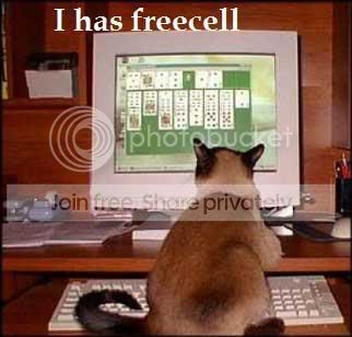 funny_cat_pictures_341.jpg