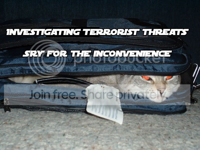 funny_cat_pictures_355.jpg