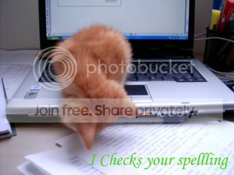 funny_cat_pictures_356.jpg