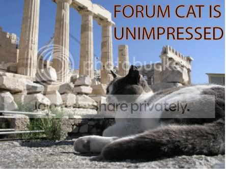 funny_cat_pictures_367.jpg