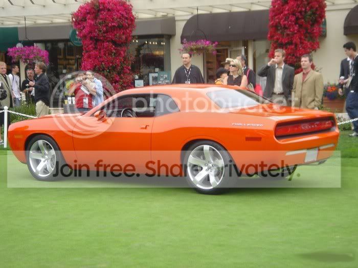 luxury_048.jpg