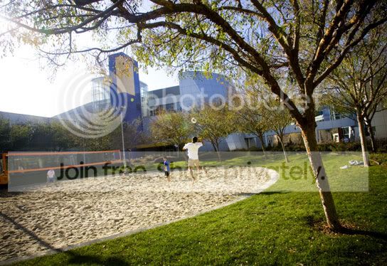 googleplex_007.jpg