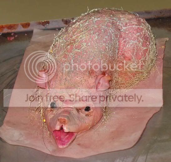 horror_bakery_014.jpg