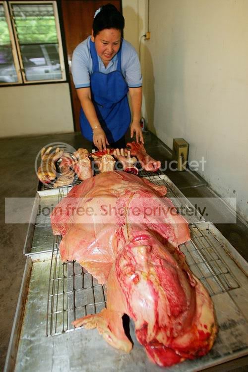 horror_bakery_019.jpg