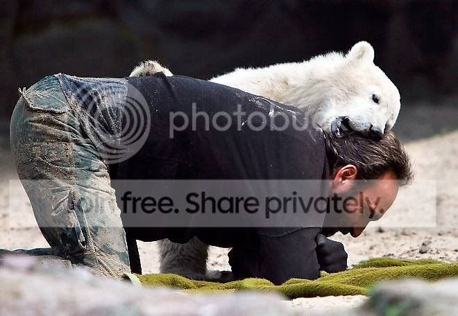 knut-002.jpg