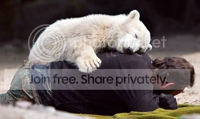 knut-006.jpg