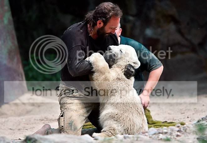 knut-007.jpg