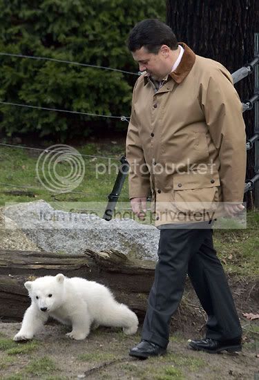 knut-polar-bear-004.jpg