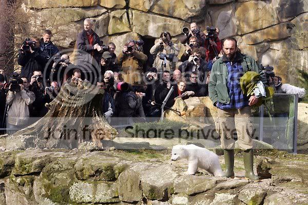 knut-polar-bear-007.jpg