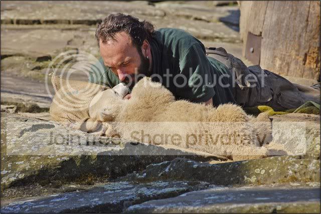 knut-polar-bear-008.jpg