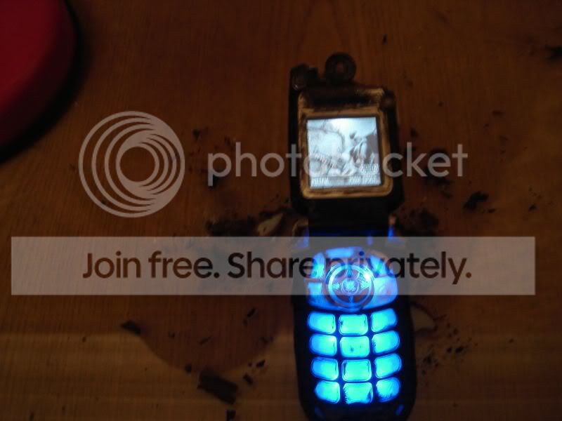 motorola_08.jpg