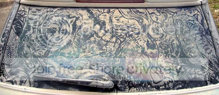 windshield_art_015.jpg