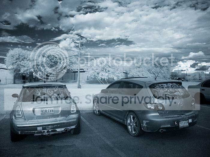 windshield_art_030.jpg