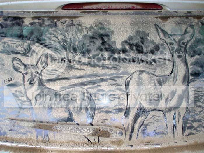 windshield_art_042.jpg