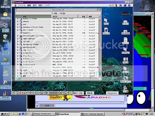 remoteImage-6.jpg
