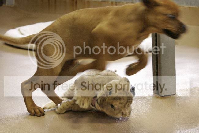 best_friends_002.jpg