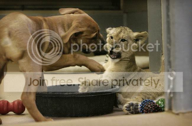 best_friends_003.jpg
