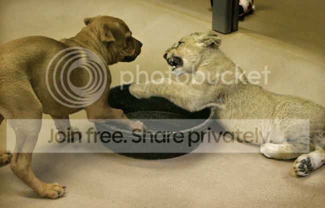 best_friends_008.jpg