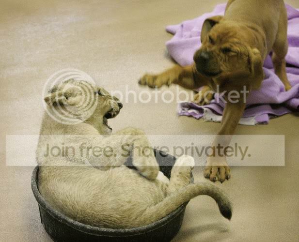best_friends_013.jpg