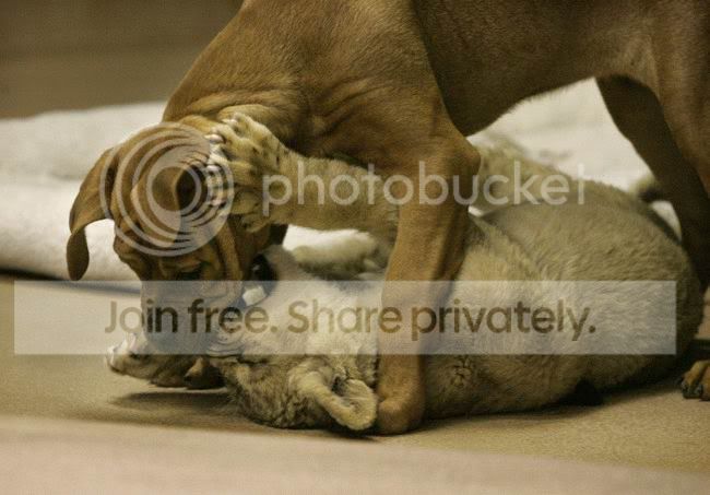 best_friends_016.jpg