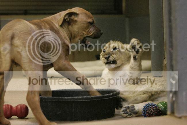best_friends_017.jpg