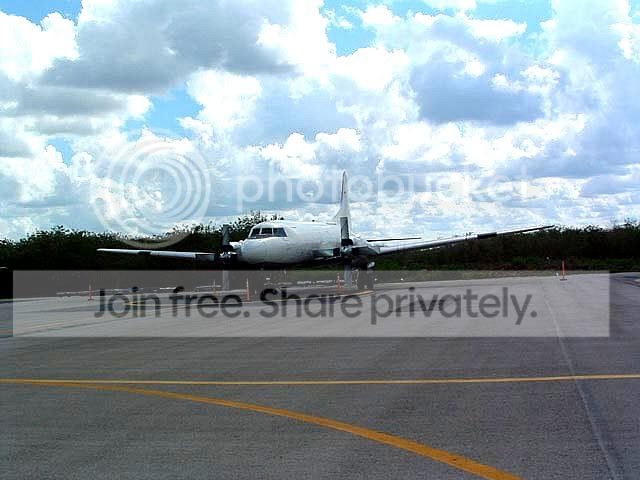 bird_vs_plane_2_001.jpg