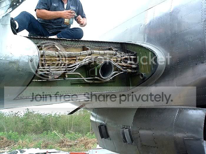 bird_vs_plane_2_003.jpg