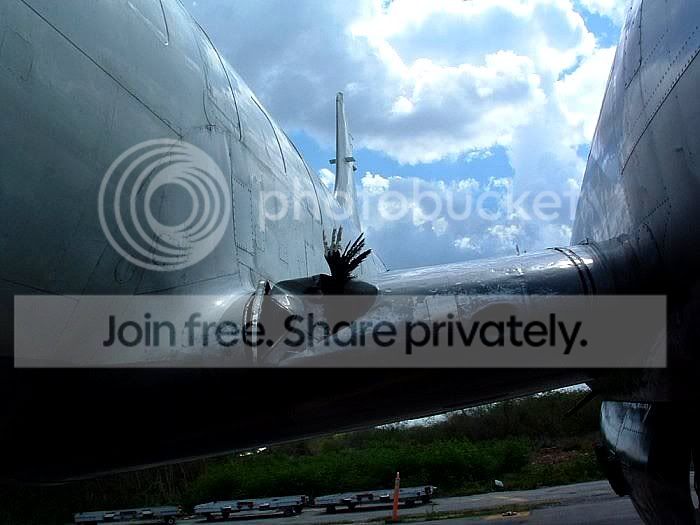 bird_vs_plane_2_006.jpg