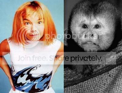 celebanimal05.jpg