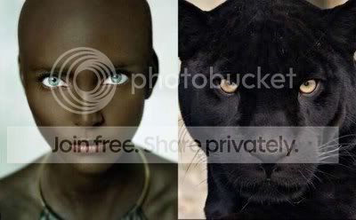 celebanimal09.jpg