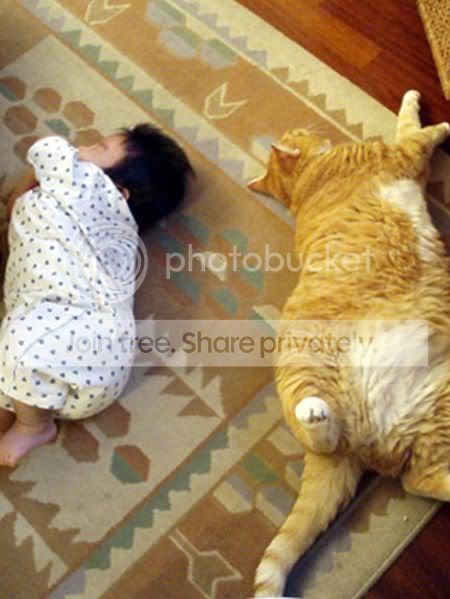 kidcat01.jpg