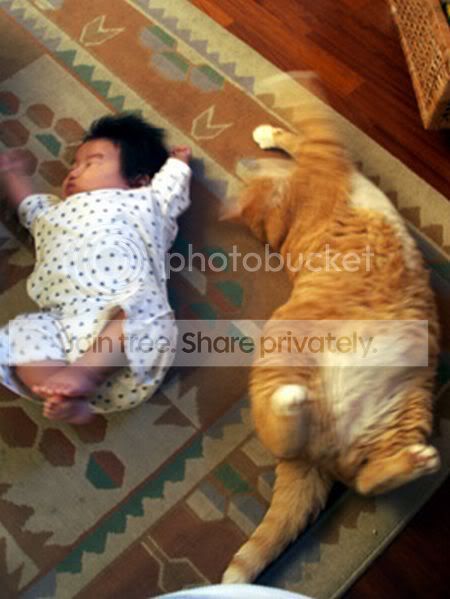 kidcat03.jpg