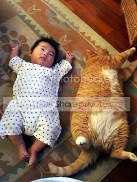 kidcat04.jpg
