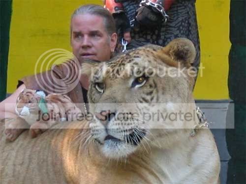 liger02.jpg
