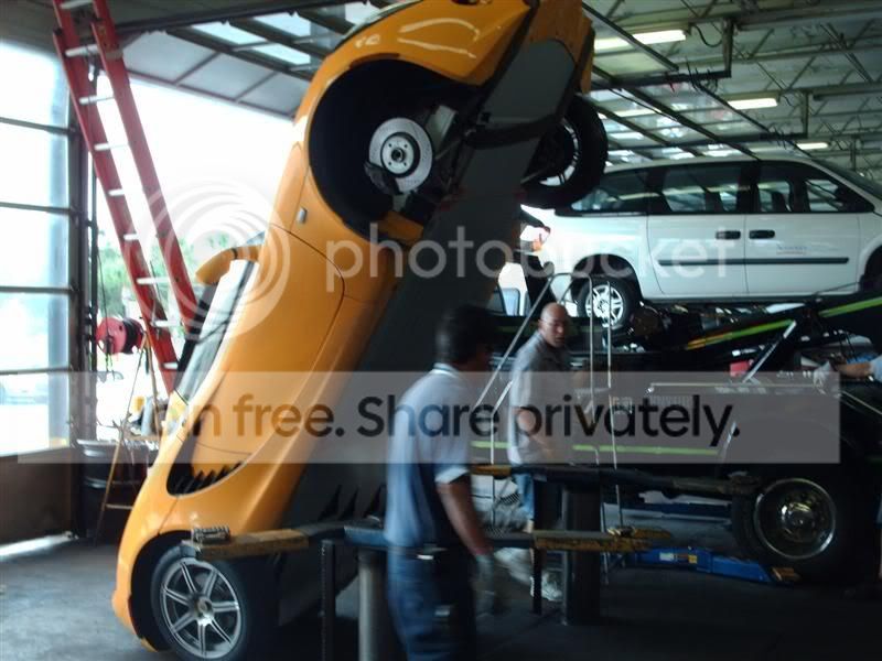 lotus_005.jpg