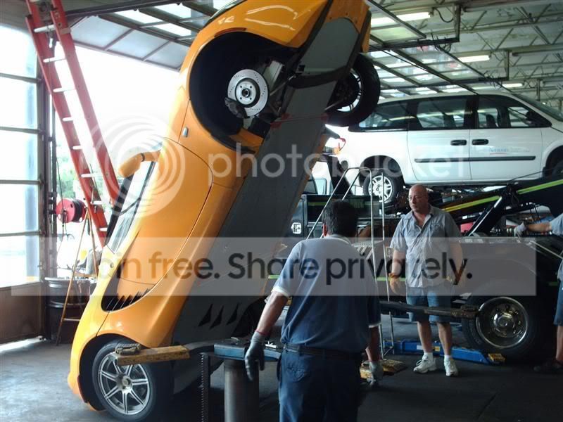lotus_006.jpg