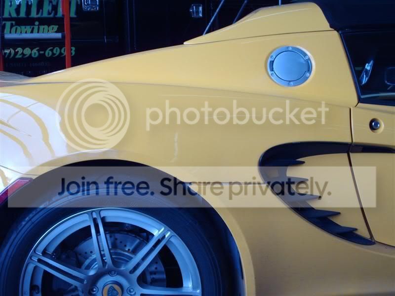 lotus_007.jpg
