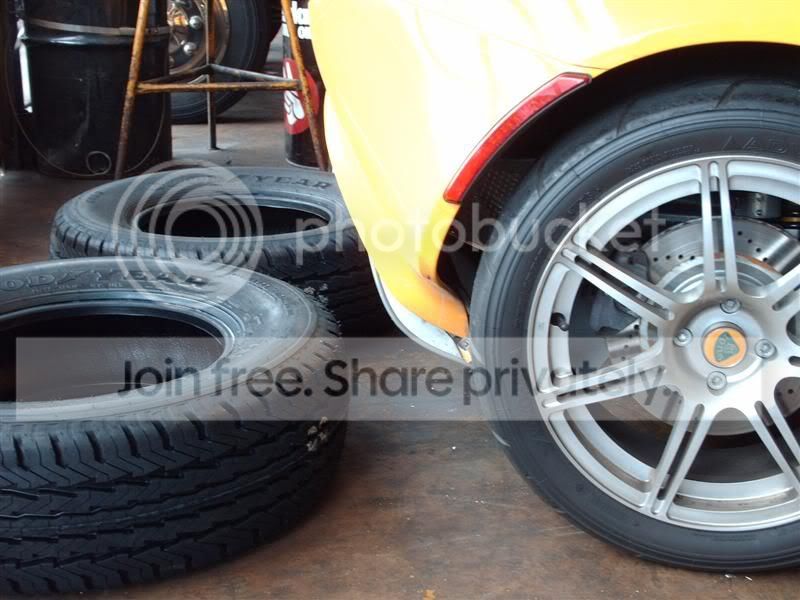 lotus_008.jpg