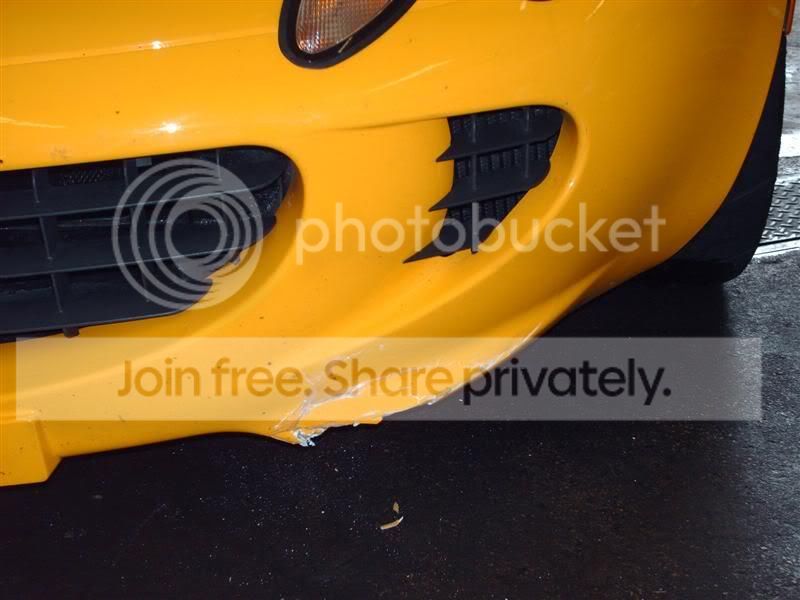 lotus_012.jpg