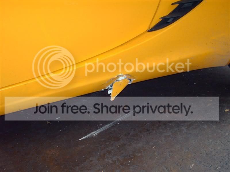 lotus_013.jpg