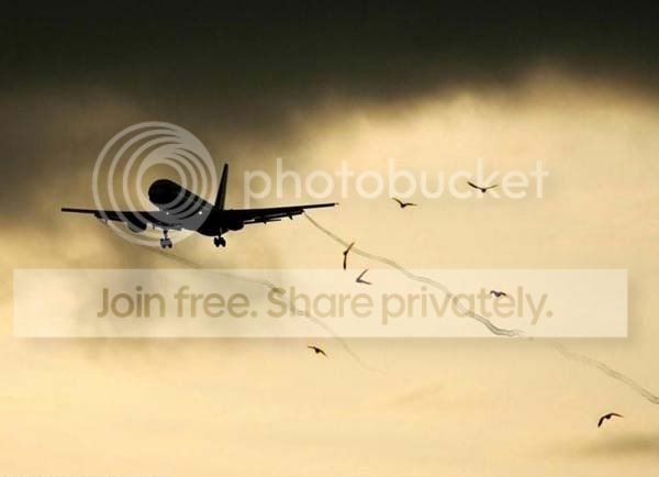 plane_trails_009.jpg