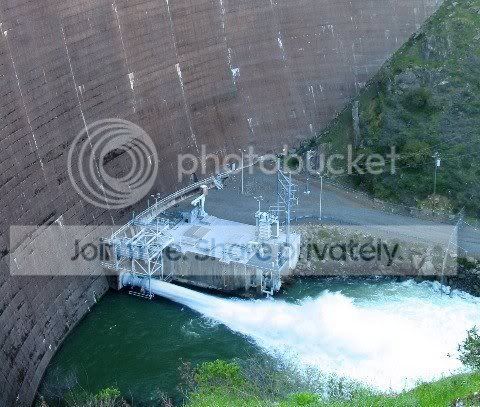 water_hole_005.jpg