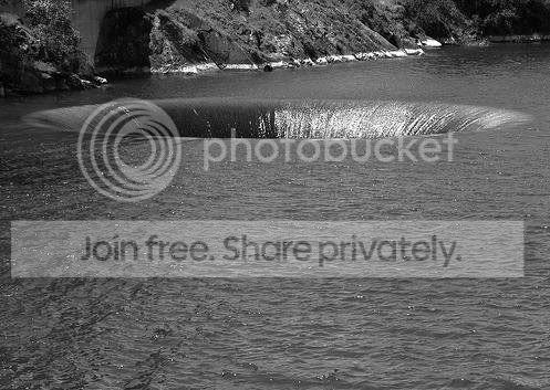 water_hole_008.jpg