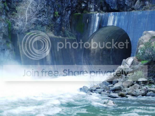 water_hole_010.jpg