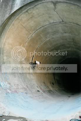 water_hole_013.jpg