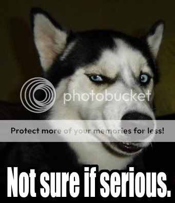 https://i134.photobucket.com/albums/q112/jzorns/Trash%20Talking/Husky_not_sure_if_serious.jpg
