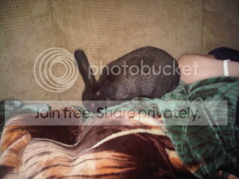 Photobucket